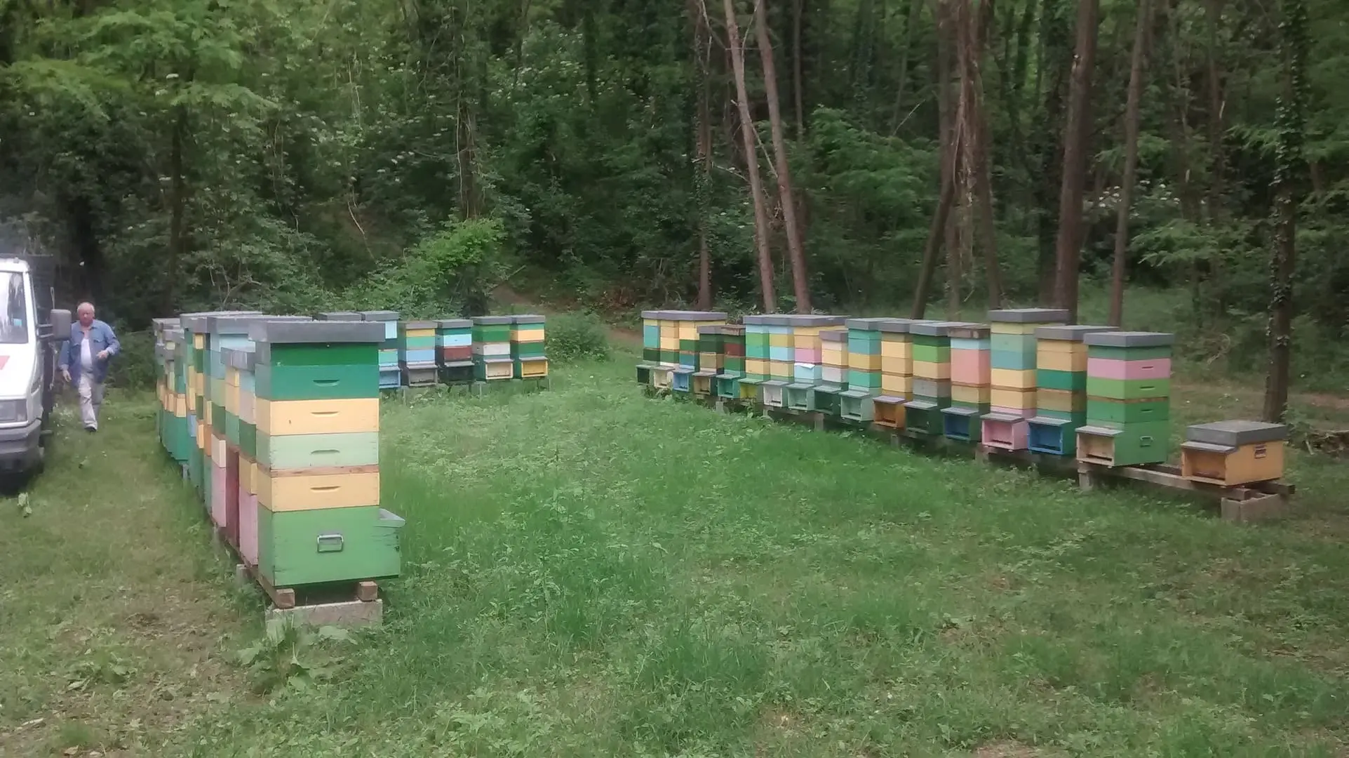 Fiori di acacia 2015, bio